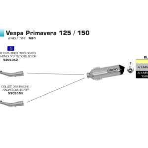 Galerie evacuare ARROW pentru Piaagio Vespa Primavera125 2014-16, cu catalizator